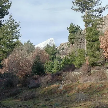 T2 Niolu Appartement Albertacce