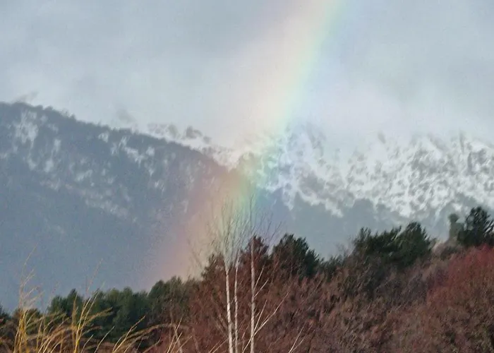 T2 Niolu Appartement *