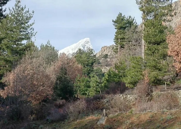 T2 Niolu Appartement Albertacce